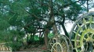 厦门丽田园农家乐怎么玩？附游玩路线