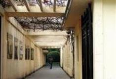 上海西康公园怎么玩？附游玩路线