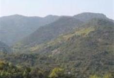 温州桐溪风景名胜区怎么玩？附游玩路线