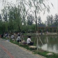 杨柳青庄园19350