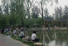 杨柳青庄园：垂钓区