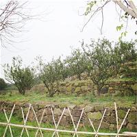 苏州江南农耕文化园19413