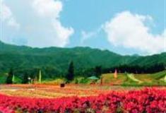 重庆云中花都怎么玩？附游玩路线