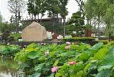 上海陈家山荷花公园怎么玩？附游玩路线