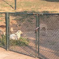 长沙生态动物园19213