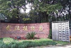 武汉中国科学院武汉植物园怎么玩？附游玩路线