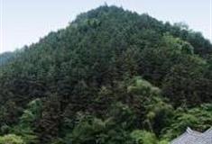 桂林神龙水世界怎么玩？附游玩路线