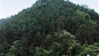 桂林神龙水世界怎么玩？附游玩路线