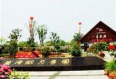 苏州盛泽湖月季园怎么玩？附游玩路线