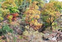 白马尖：龙蛋窝