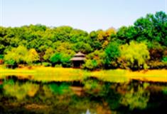 南京琵琶湖公园怎么玩？附游玩路线