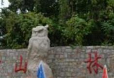 烟台烽山林海森林公园怎么玩？附游玩路线