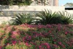 广州黄山鲁森林公园怎么玩？附游玩路线