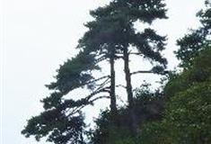 万佛山风景区：二仙迎客