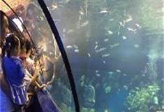 江苏张家港梦幻海洋王国：张家港梦幻海洋王国