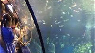 江苏张家港梦幻海洋王国：张家港梦幻海洋王国