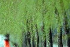 广州市义务植树公园怎么玩？附游玩路线