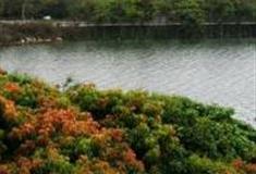 深圳西丽果场怎么玩？附游玩路线