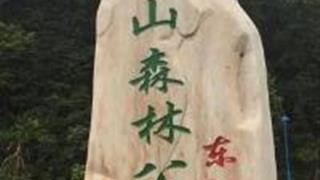 宜春镜山森林公园怎么玩？附游玩路线