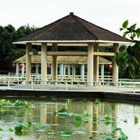 三水荷花世界17322