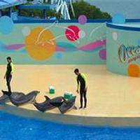 广州海洋馆17785