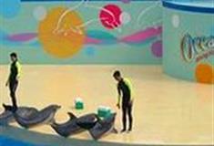 广州海洋馆：海洋剧场