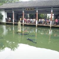 杭州西湖风景名胜区鱼乐园 杭州西湖风景名胜区鱼乐园