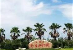 台州湾野生动物园怎么玩？附游玩路线