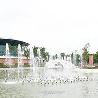 三水荷花世界17318