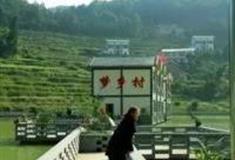 重庆凉风生态渔村怎么玩？附游玩路线