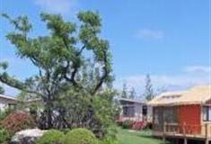 上海云水居木屋度假酒店怎么玩？附游玩路线