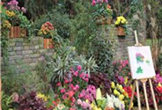 杭州植物园怎么玩？附游玩路线