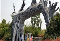 南京武家嘴热带风情谷怎么玩？附游玩路线