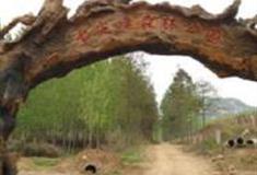 武汉七尖峰森林公园怎么玩？附游玩路线