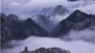 丽水百山祖景区怎么玩？附游玩路线