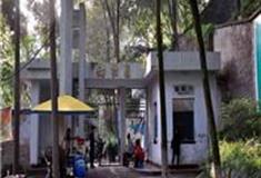 重庆西山动物园怎么玩？附游玩路线