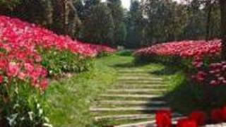 重庆太寺垭森林公园怎么玩？附游玩路线