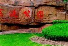 上海黄渡公园怎么玩？附游玩路线