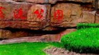 上海黄渡公园怎么玩？附游玩路线