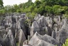 宜昌奥陶纪石林景区怎么玩？附游玩路线