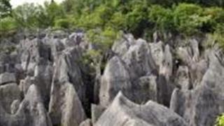 宜昌奥陶纪石林景区怎么玩？附游玩路线