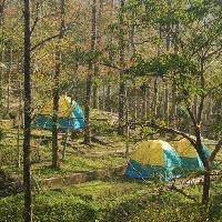 上海共青国家森林公园17715