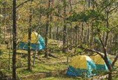 上海共青国家森林公园：野营区