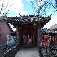 拉市海湿地公园19328