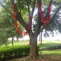 宝晶宫风景名胜区18753