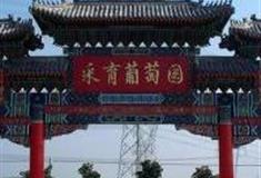 北京采育葡萄园怎么玩？附游玩路线