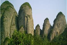 武汉市动物园怎么玩？附游玩路线