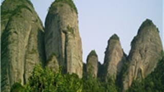 武汉市动物园怎么玩？附游玩路线