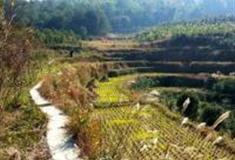 温州南山岭古道怎么玩？附游玩路线