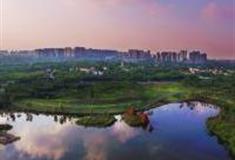 成都白鹭湾湿地公园怎么玩？附游玩路线